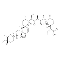 Salinomycin CAS 53003-10-4